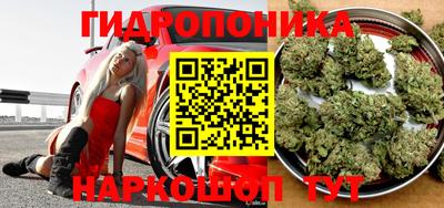 альфа пвп Волгодонск