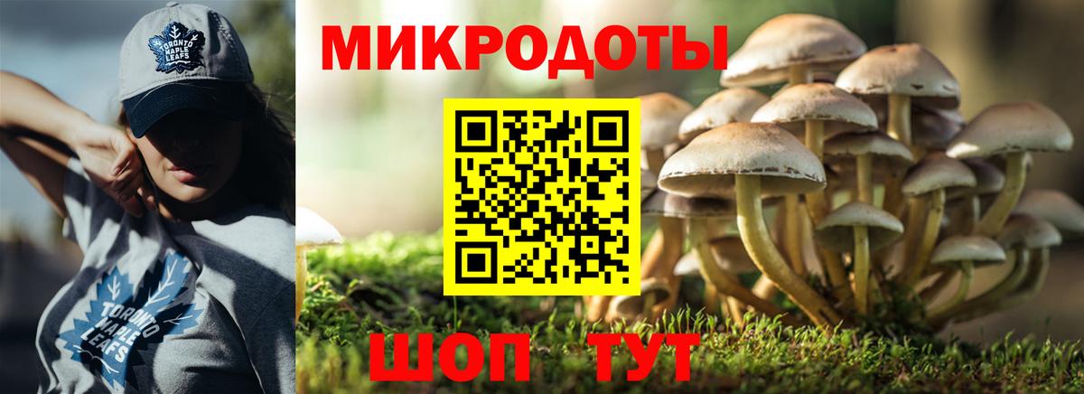 Северобайкальск  Галлюциногенные грибы Cubensis  Вход с VPN  Псилоцибиновые грибы мицелий 
